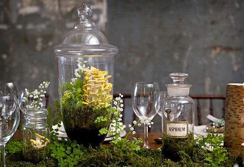 Apothecary Centerpiece