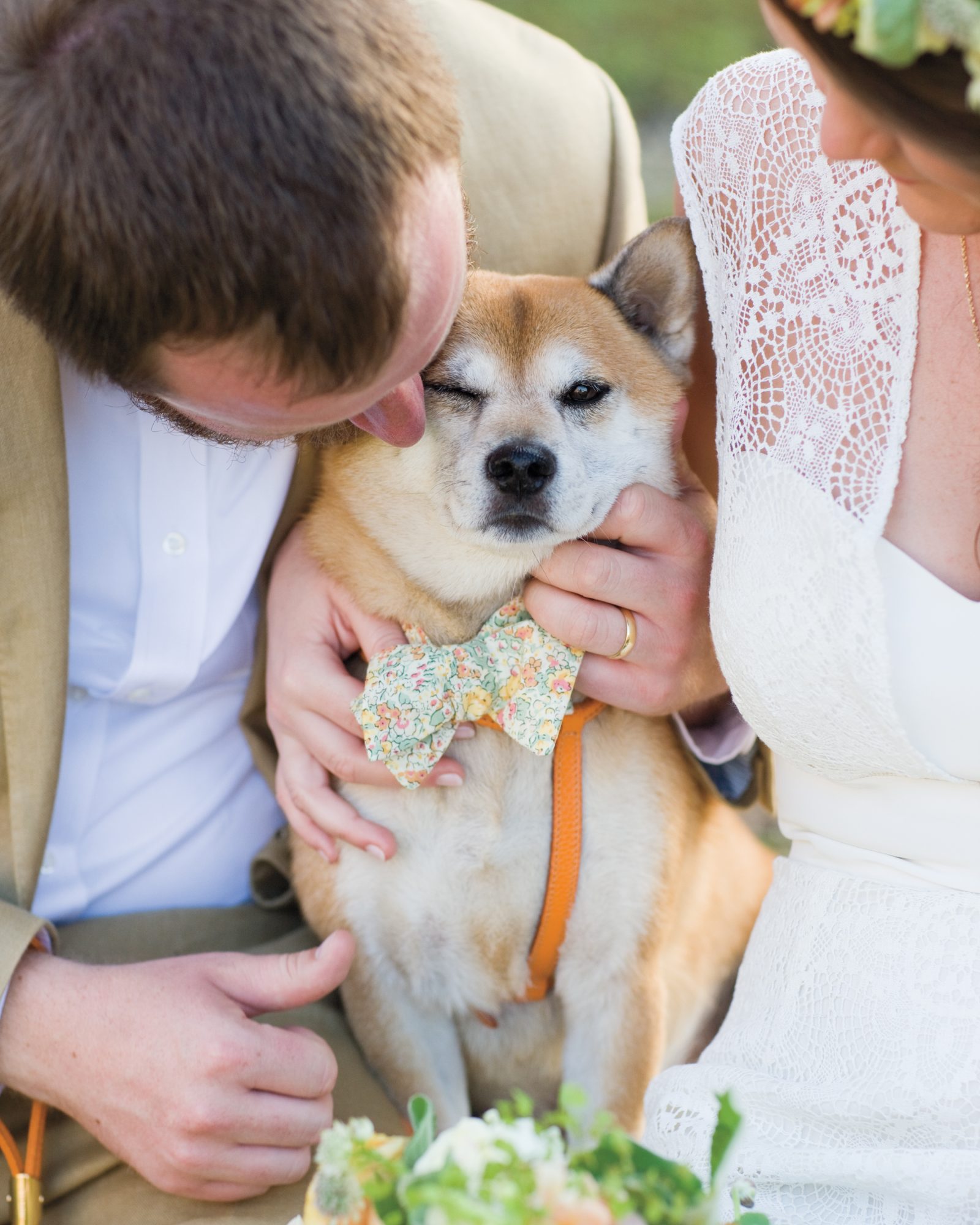 Dapper Dogs Wearing Bow Ties at Weddings