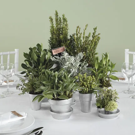 Fresh Herb Centerpieces