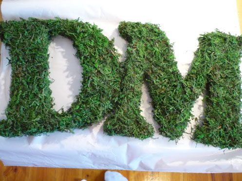 Polka Dot Bride: DIY Moss Letters Project
